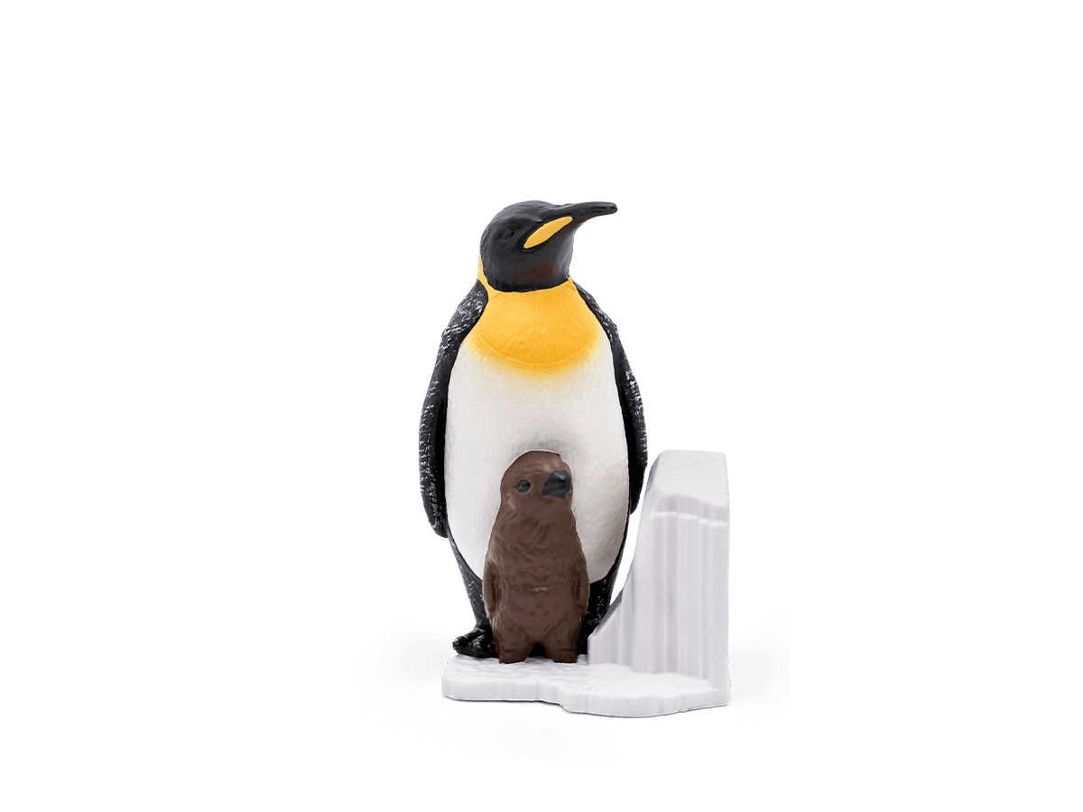 Pinguine/Tiere im Zoo